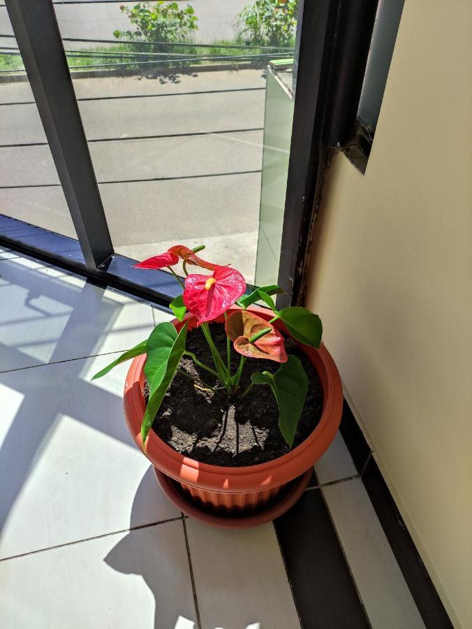 Hotel Tambopata Inn Puerto Maldonado Zewnętrze zdjęcie